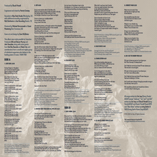 Load image into Gallery viewer, Solace in the Wild vinyl insert with lyrics and credits